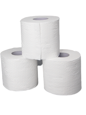 Embossed Toilet Tissue 3Ply 240sheets/roll 48pack - Stanley Packaging